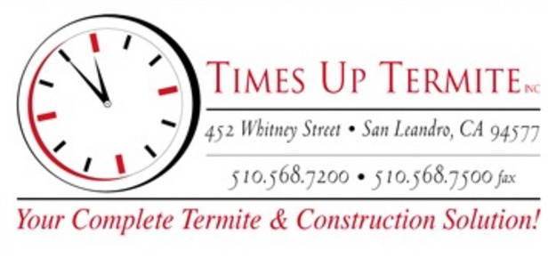 Termite Inspection Union City
